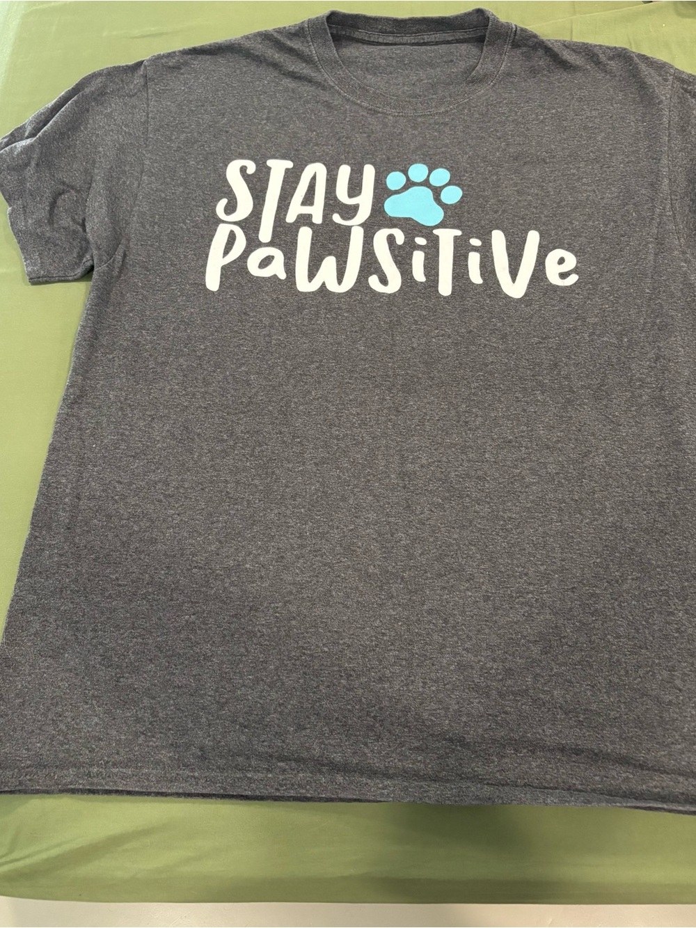 Stay Pawsitive Graphic Tee - Dark Heather Gray with Light Blue Paw